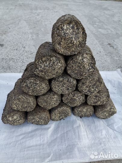 Брикеты топливные из лузги семечек