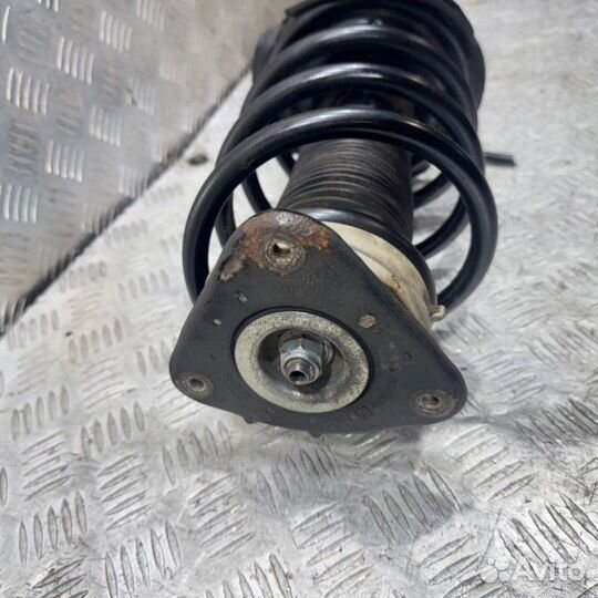 Амортизатор подвески передний правый Ford Focus BM