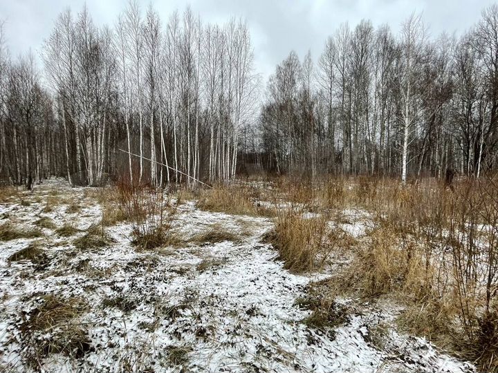 Участок 17 сот. (СНТ, ДНП)