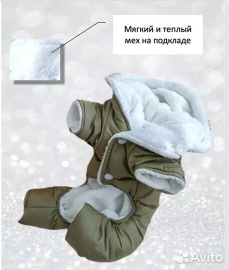 Одежда для собак