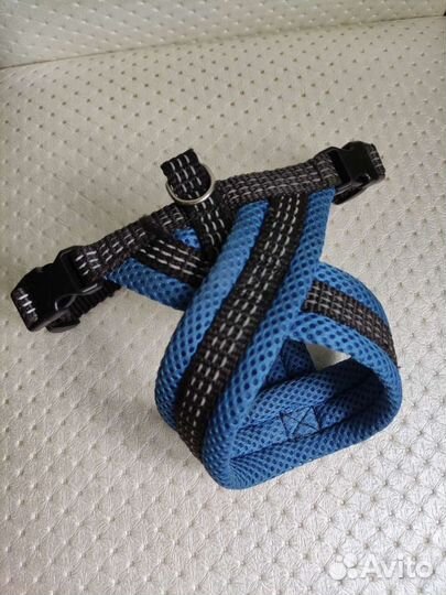 Шлейка для маленькой собаки
