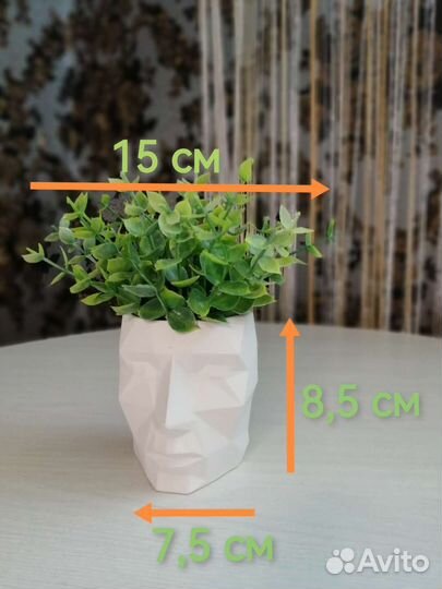 Декор для интерьера. Зелень, флористика, цветы