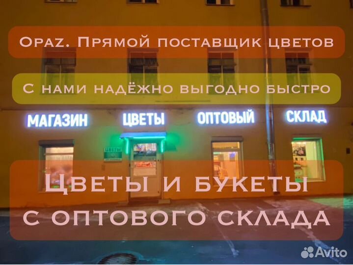 Розы высокие 100см 150 см