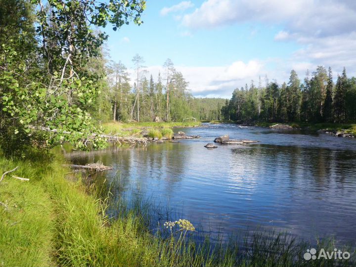 Рыбалка в Карелии