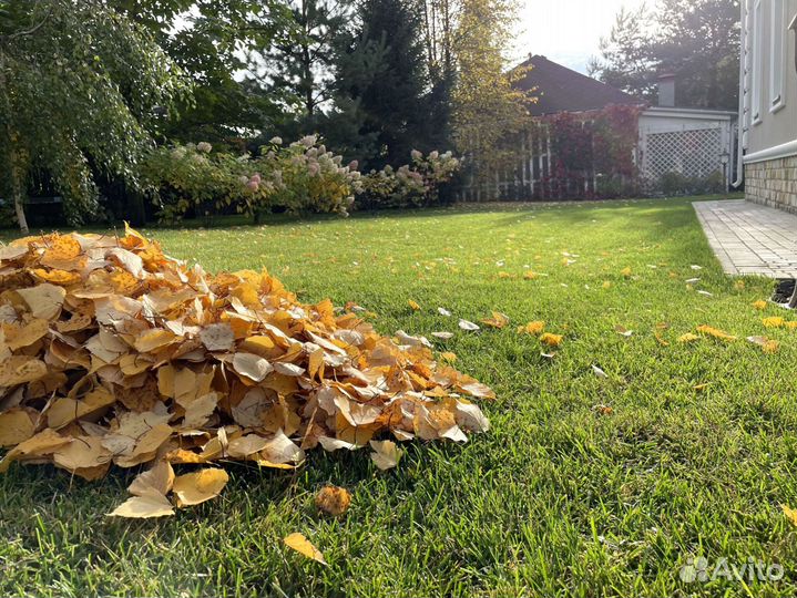 Рублевка. Рулонные газоны премиум качества