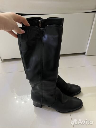 Сапоги женские зимние фарадей 37