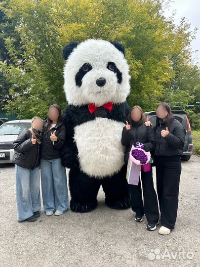 Аэрокостюм Панда