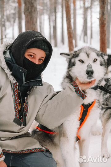 Собака в добрые руки бесплатно