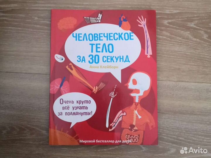 Человеческое тело за 30 секунд