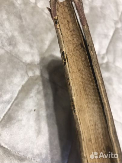 Книга 1904 год О подражании Христу