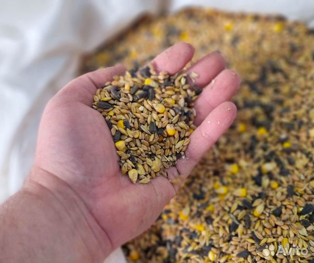 Зерносмесь ГОСТ