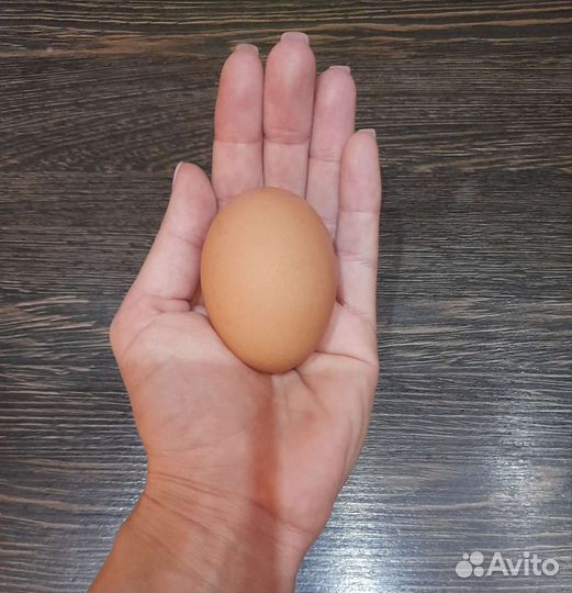 Яйца куриные деревенские