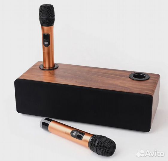 Караоке система для дома с двумя микрофонами Vita