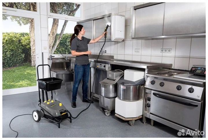 Аренда профессионального пароочистителя