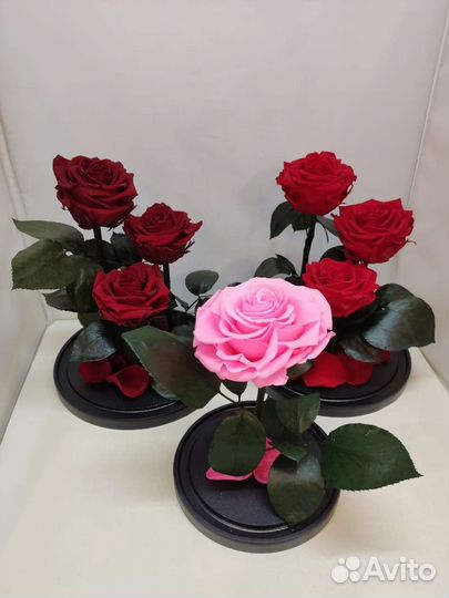 Цветы оптом