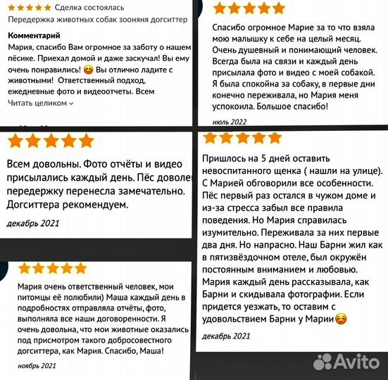 Передержка собак зооняня