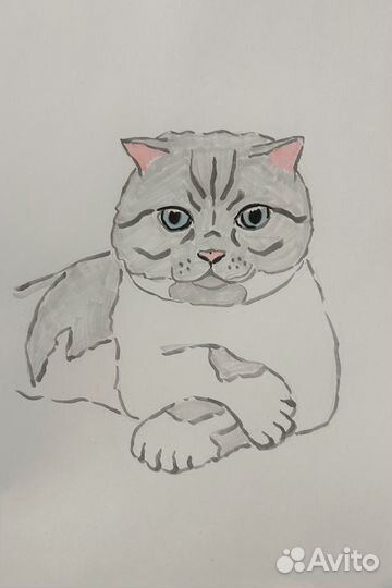 Нарисую вашего питомца за любые деньги