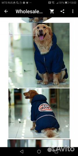 Одежда для собак
