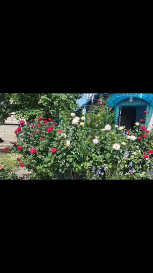 Дом 60 м² на участке 4 сот.