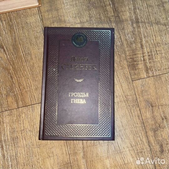 Джон Стейнбек. Гроздья гнева