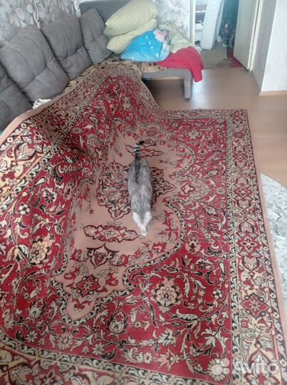 Ковер 2 на 3 бу