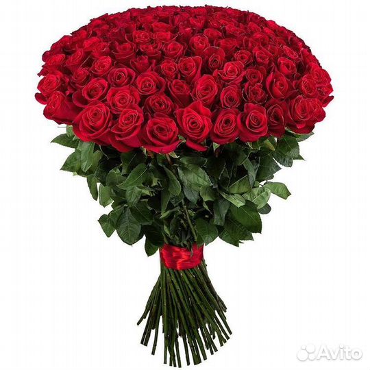 Высокие розы от 70см 80см 90см 120см