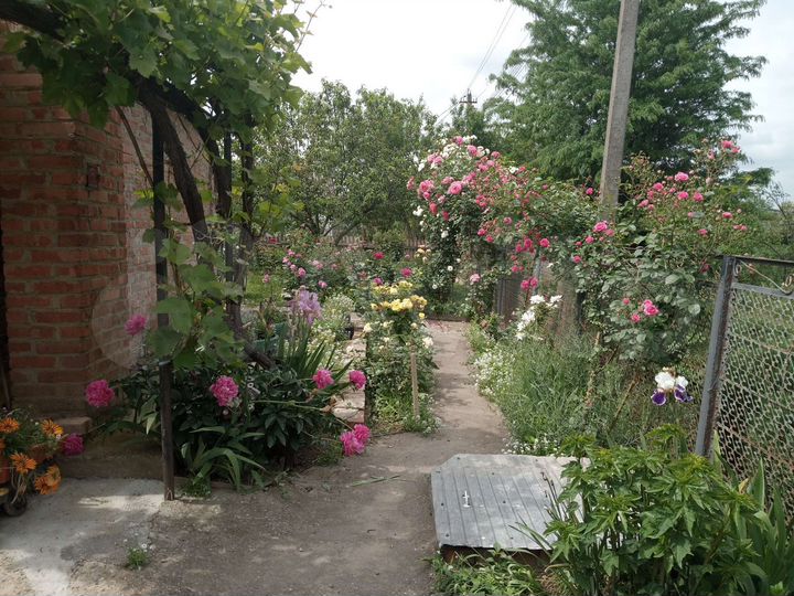 Дом 60 м² на участке 15 сот.