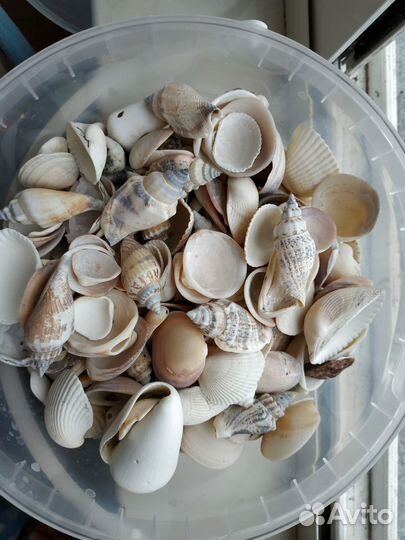 Грунт для аквариума фракция 6-8 натур., ракушки