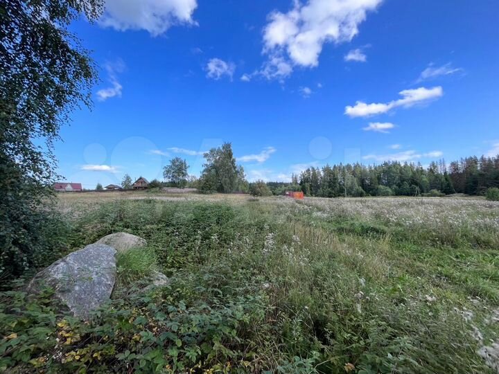 Участок 2,44 га (ИЖС)