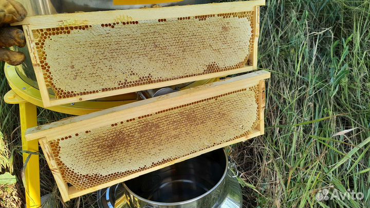 Мёд цветочный