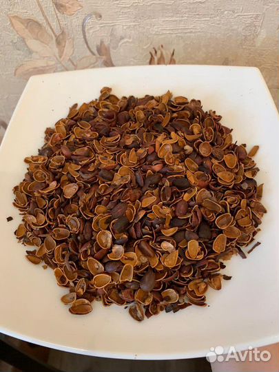 Скорлупа кедрового ореха