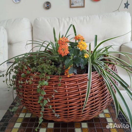 Кашпо из искусственного ротанга