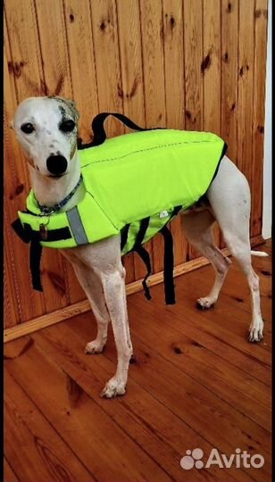 Жилет спасательный для собак
