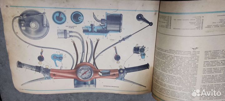 Книга муравей