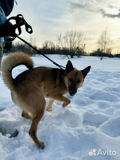 Никому не нужен