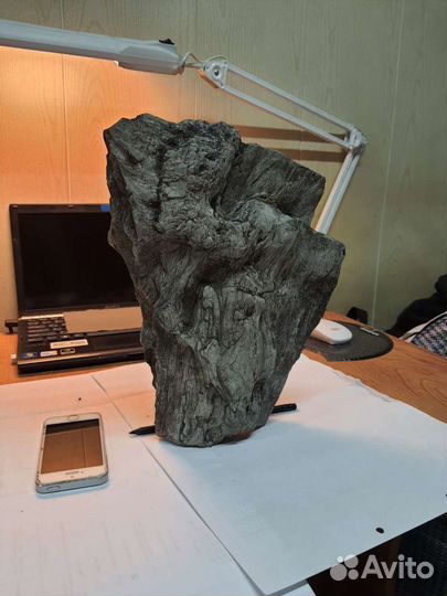 Окаменевшее дерево, фрагмент