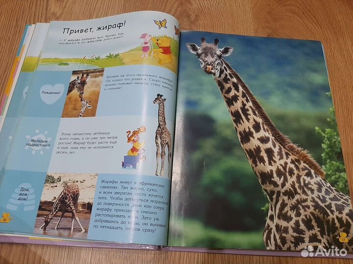 Энциклопедия Животные