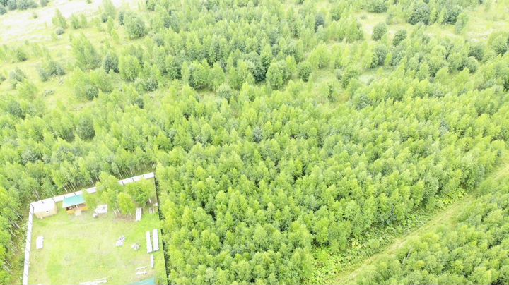 Участок 18,6 сот. (ИЖС)