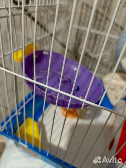Клетка для грызунов