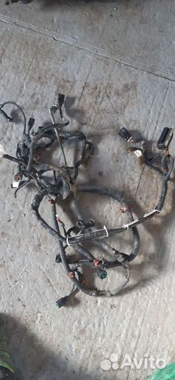 Проводка двигателя Hyundai accent