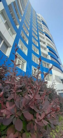 3-к. квартира, 123,4 м², 11/17 эт.