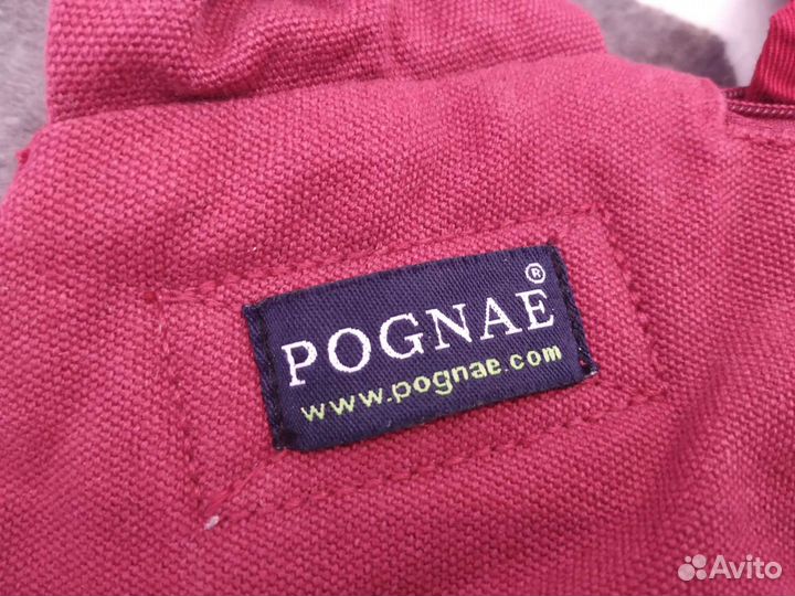 Эргорюкзак pognae