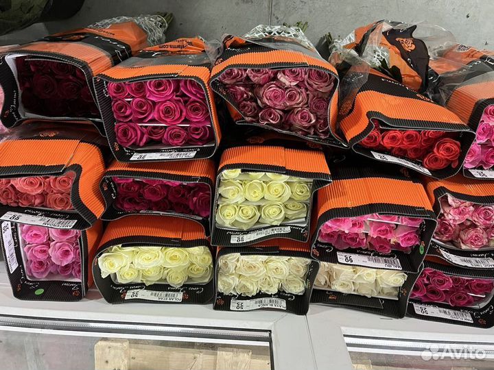 Цветы. Роза от