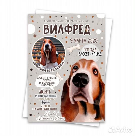 Для домашних любимцев