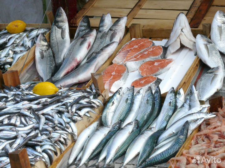 Франшиза рыбы и морепродуктов: начни бизнес