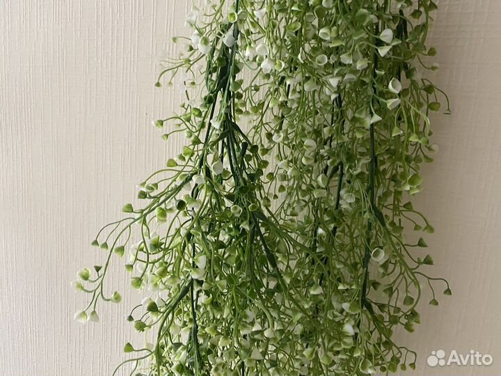 Искусственное ампельное растение