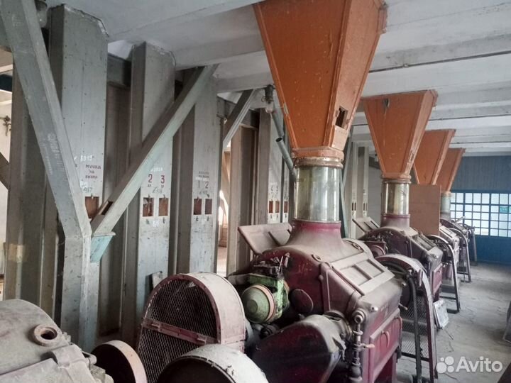 Мельница 60 тонн муки в сутки