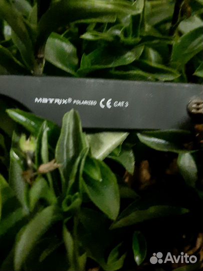 Очки Matrix Polarized матовые