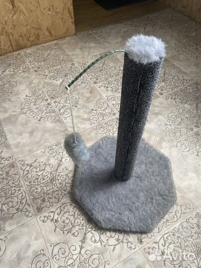 Когтеточка