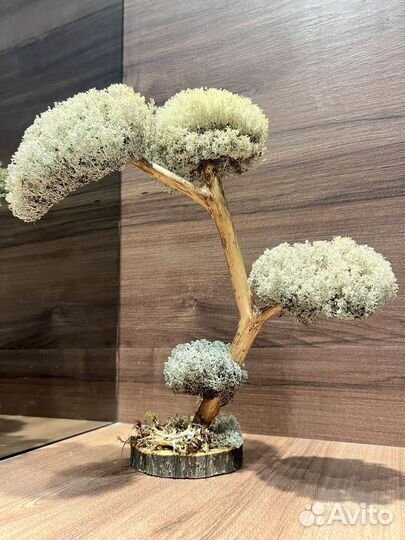 Дерево на кухню